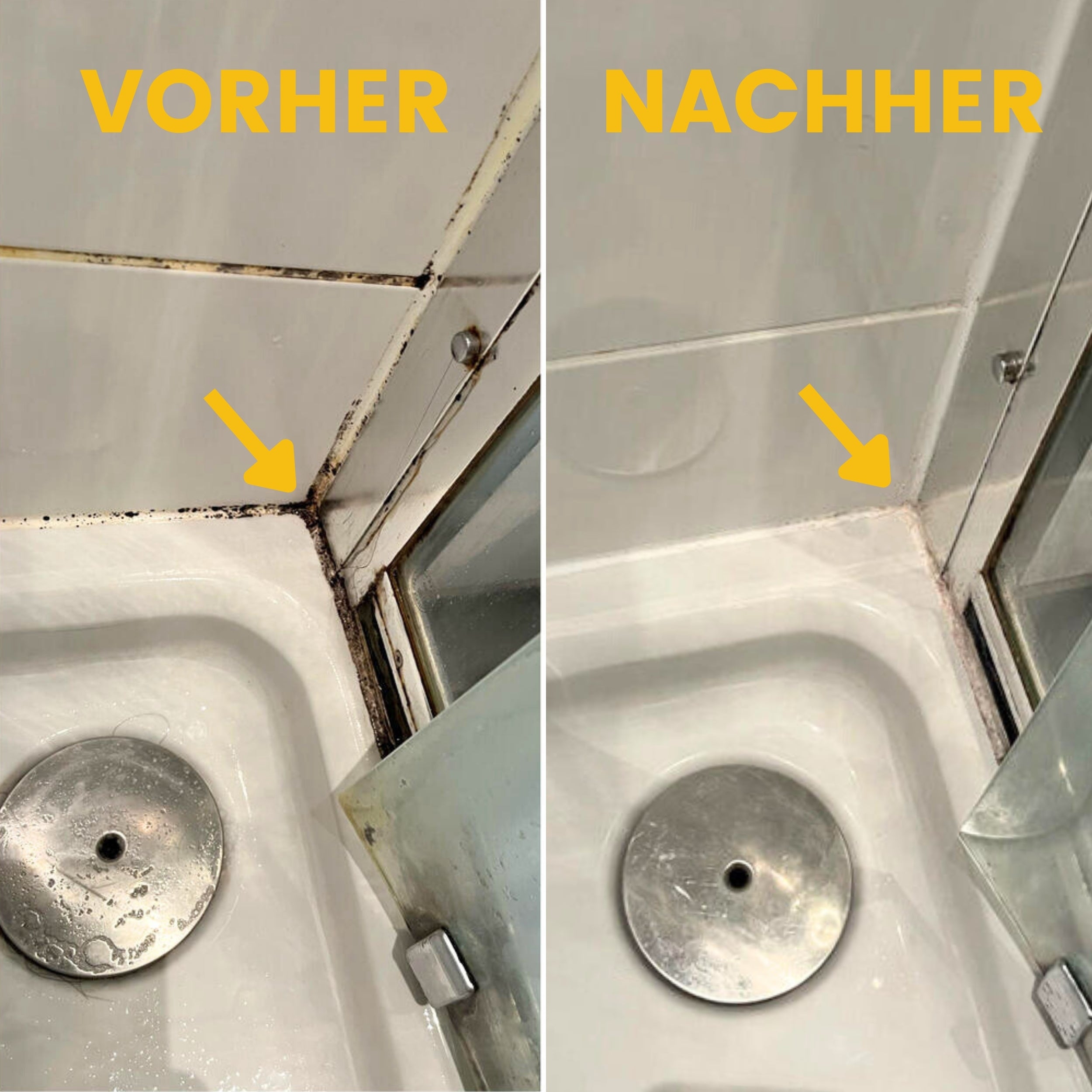 Anti-Schimmel Extrembox