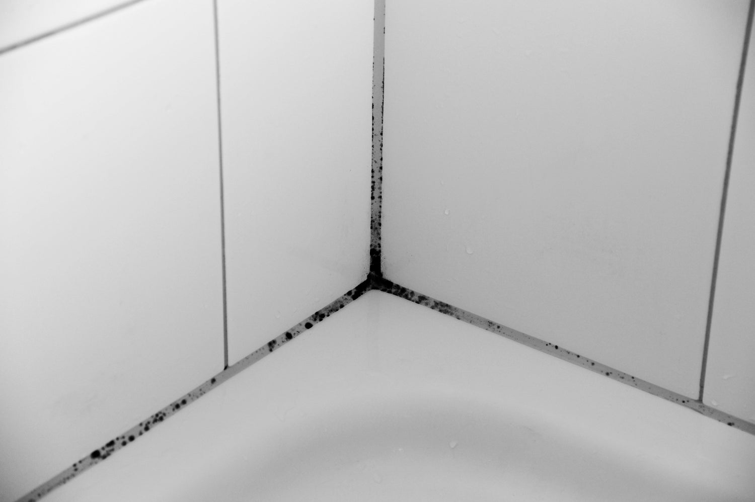 Schimmel im Badezimmer entfernen – So wird Ihre Dusche wieder hygienisch sauber