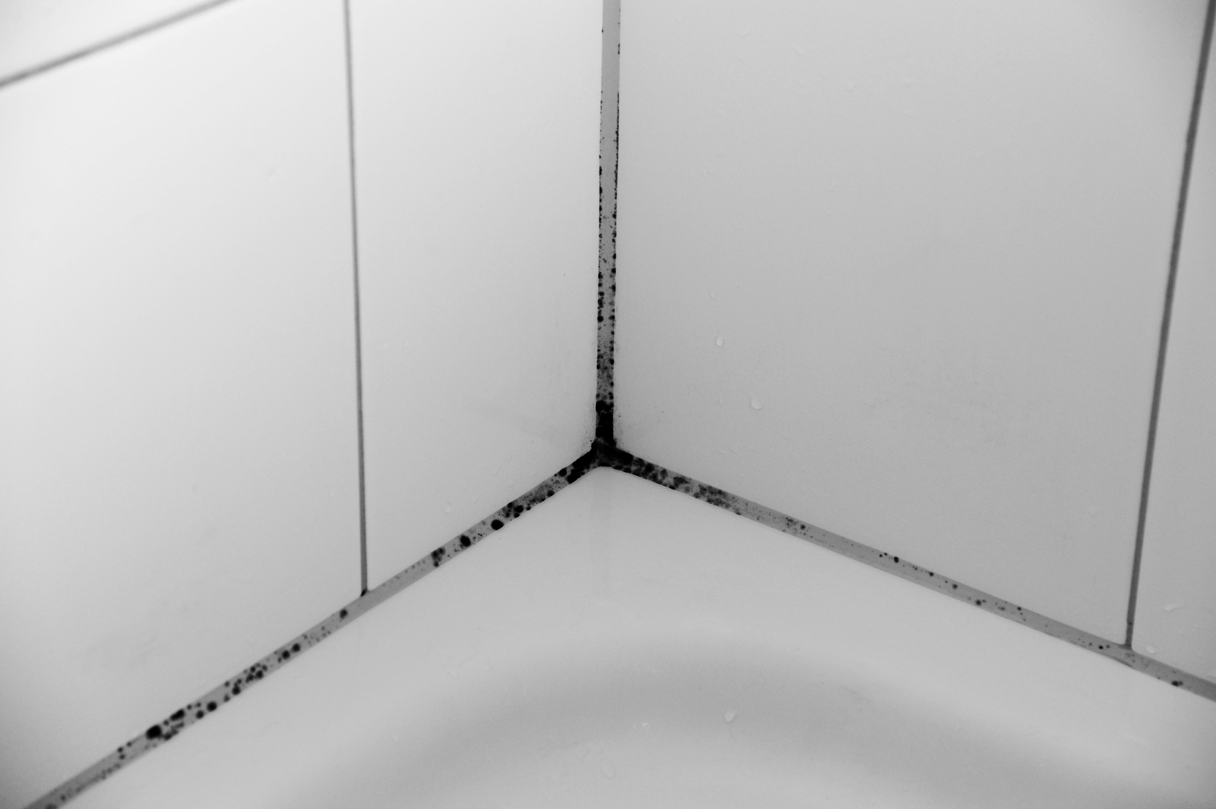 Schimmel im Badezimmer entfernen – So wird Ihre Dusche wieder hygienisch sauber