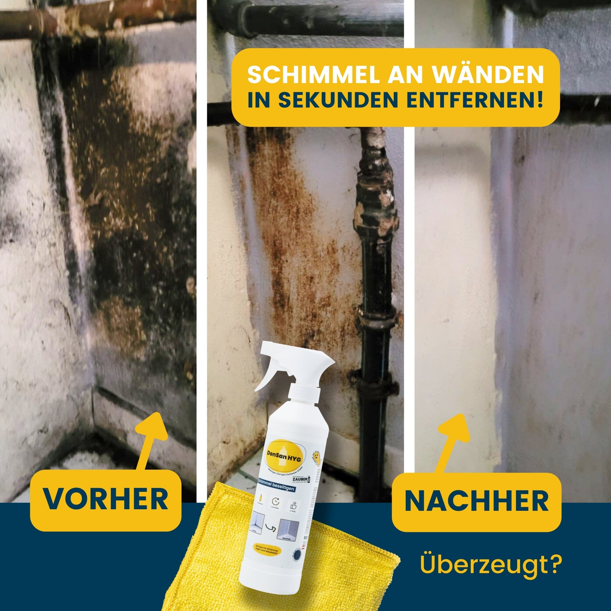 Anti-Schimmel Extrembox